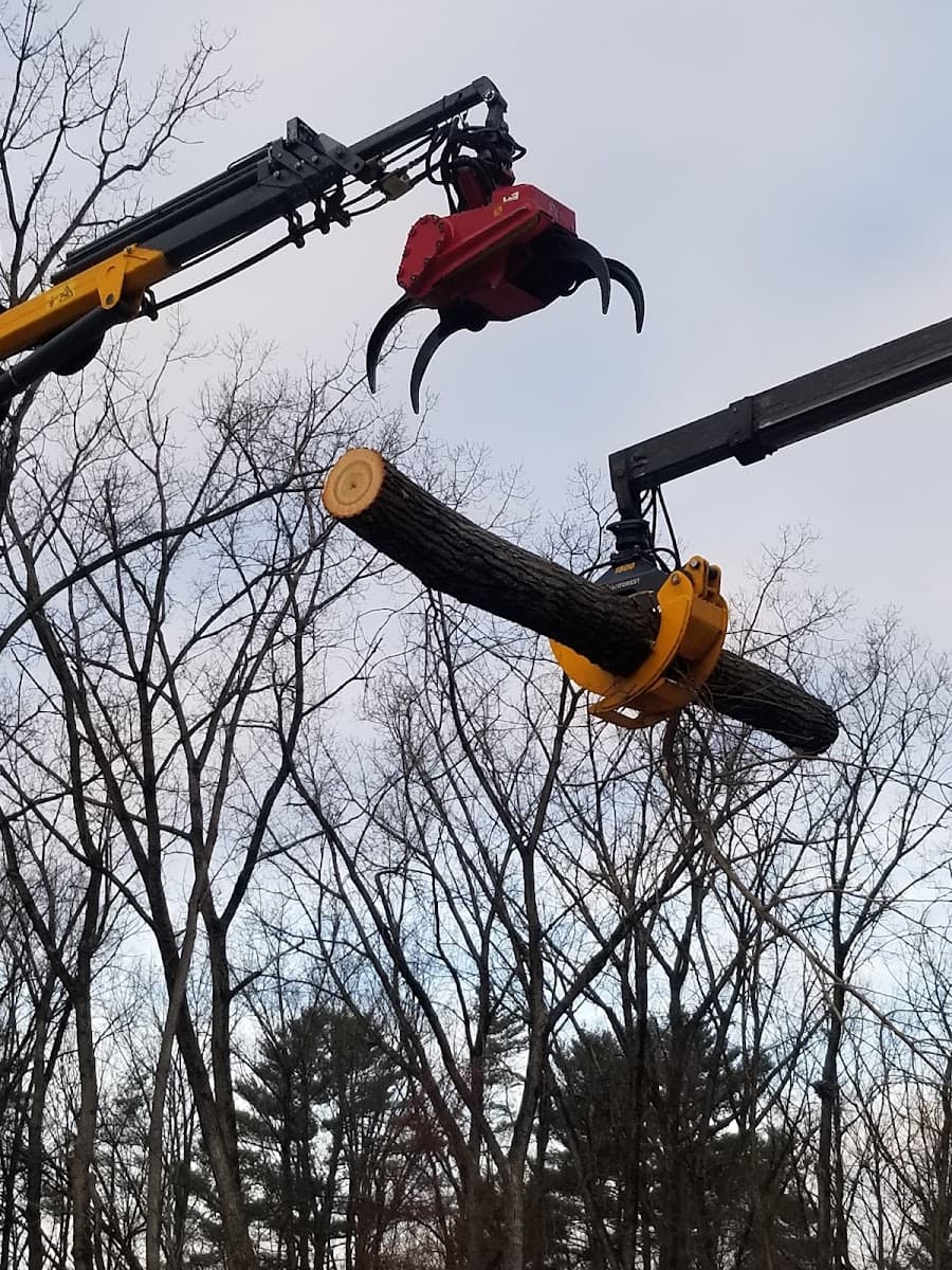 Clear Choice Tree Service