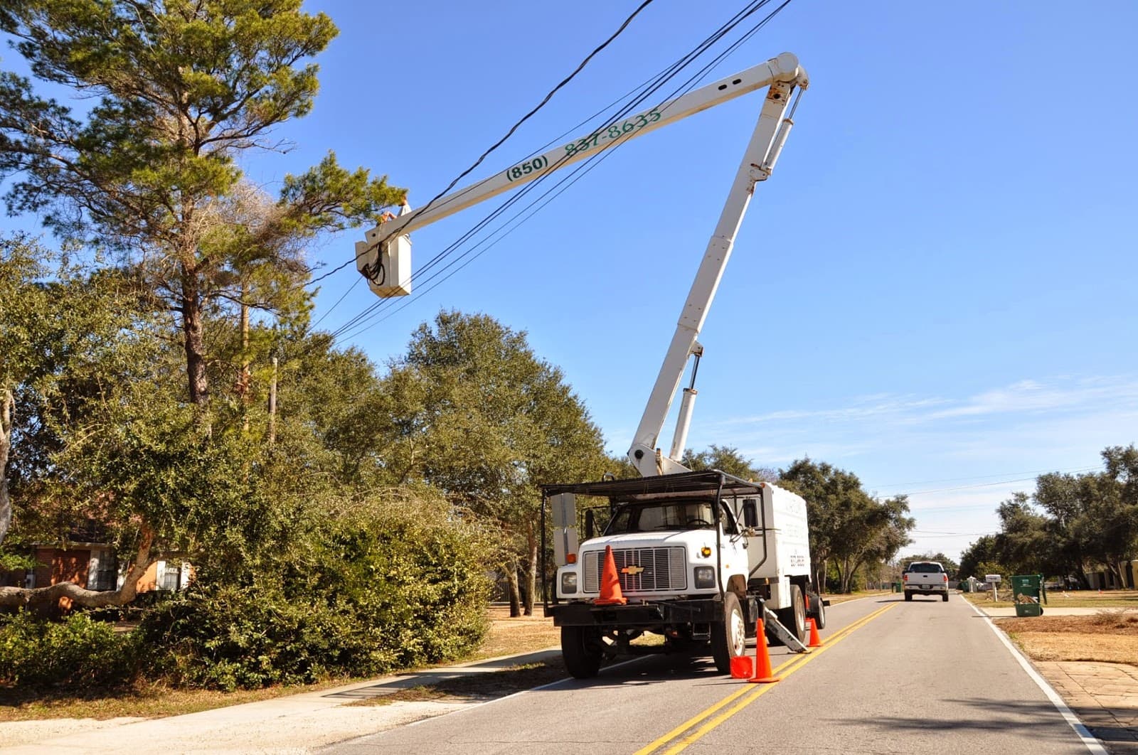 Coastline Tree Service