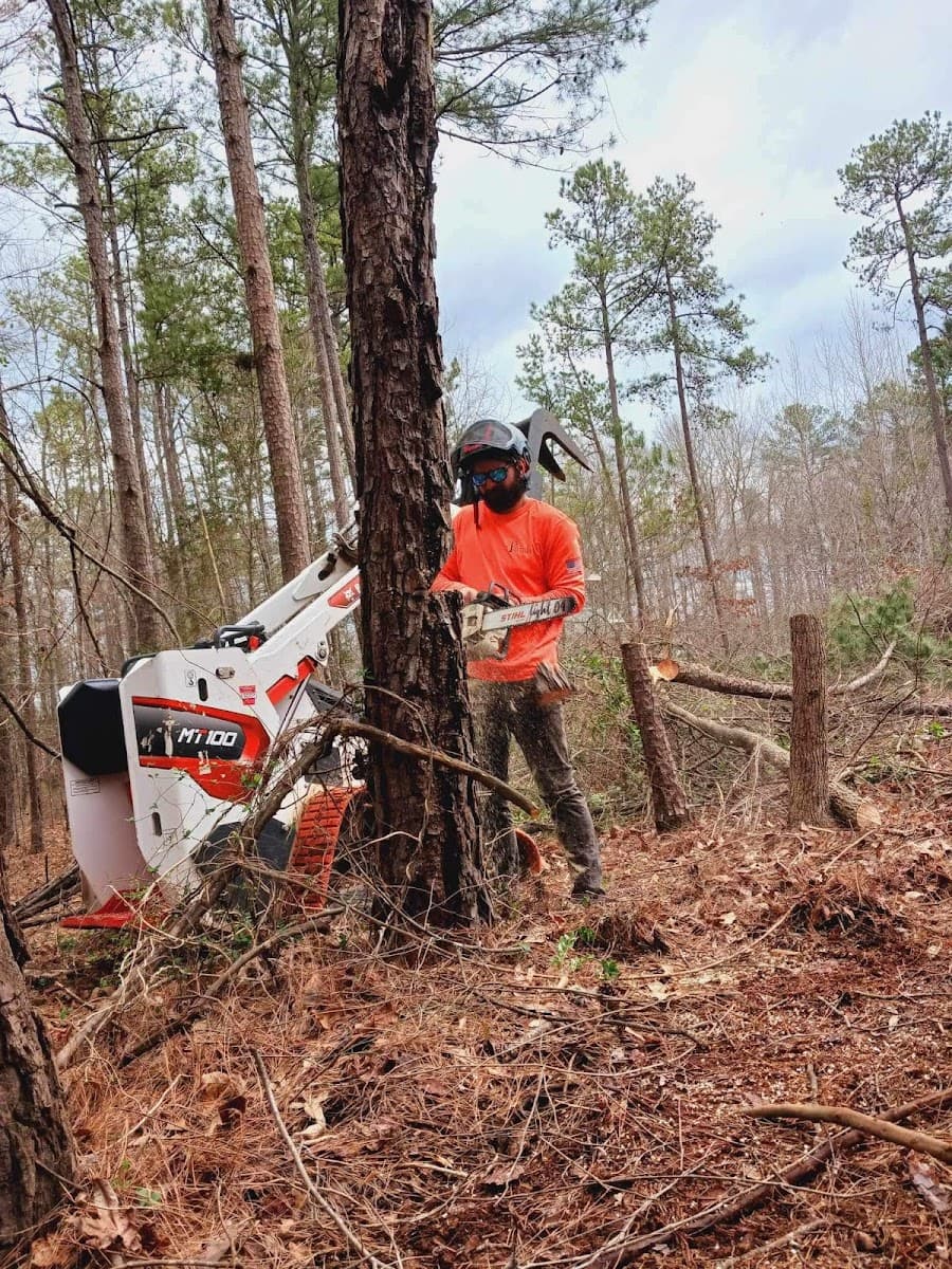 Fortson Tree Company