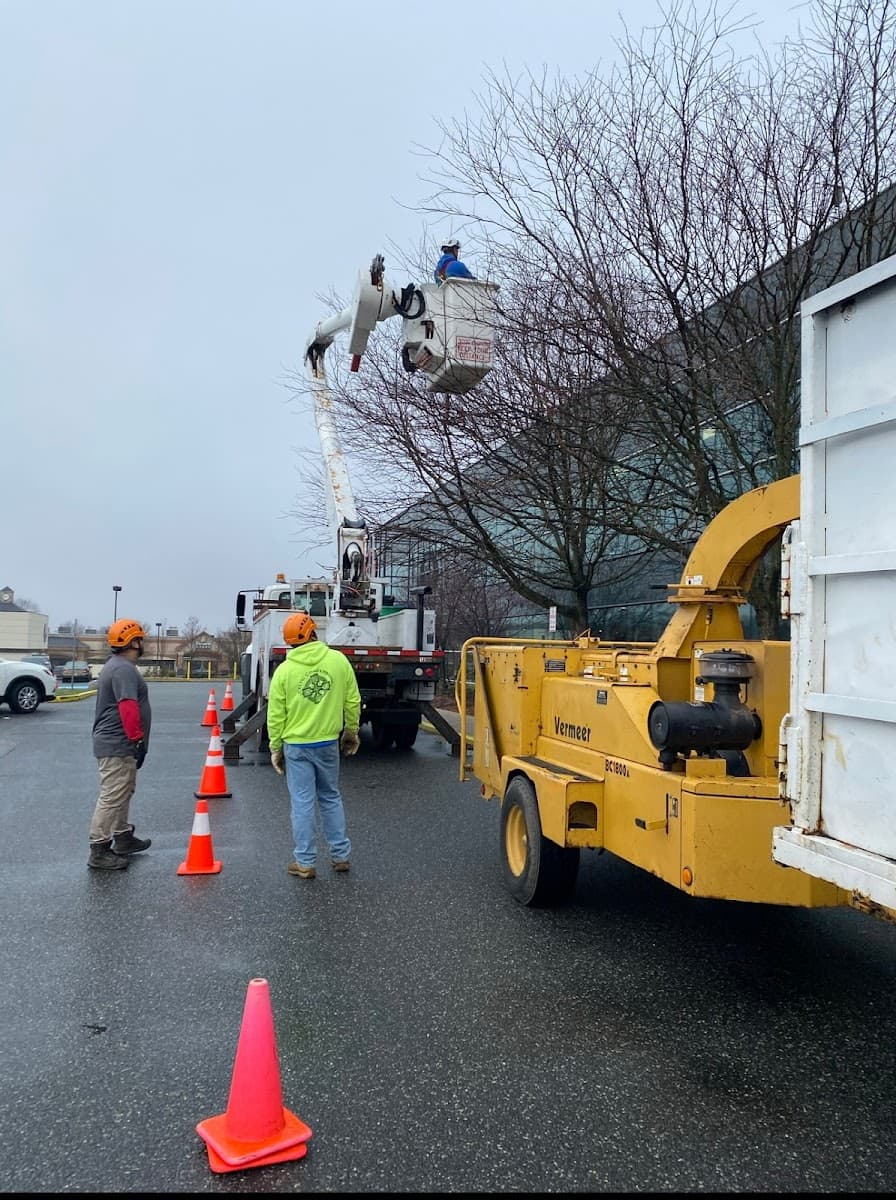 Figuemax Tree Service, LLC