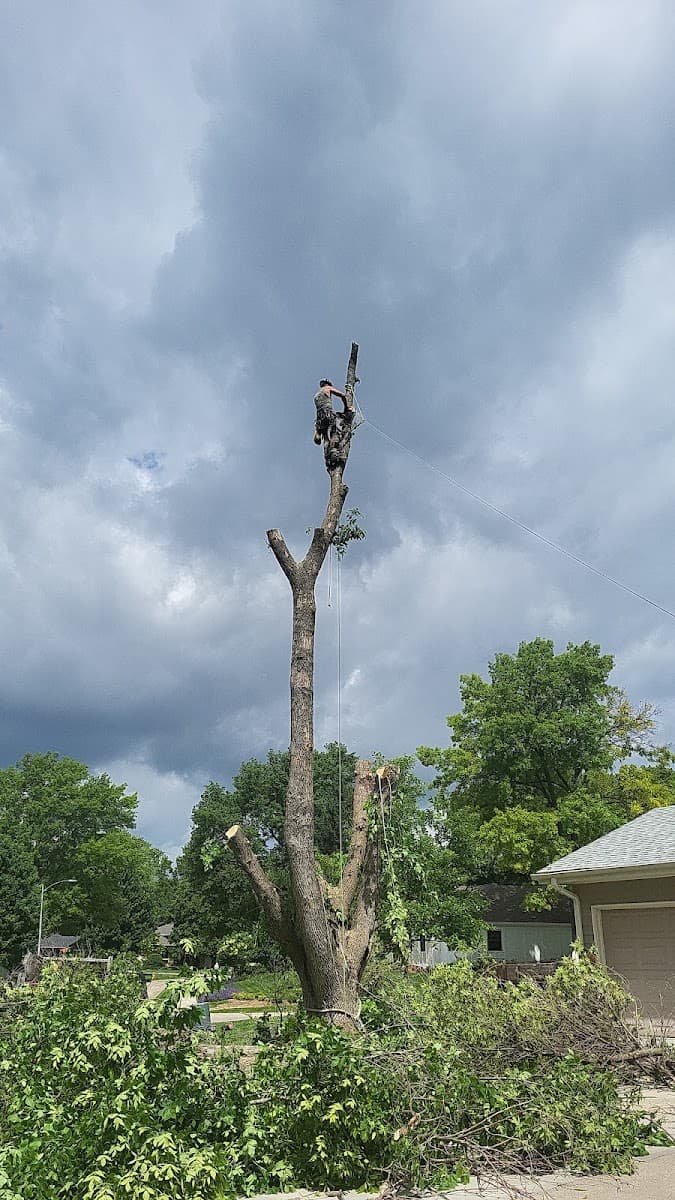 Over the Top Tree Service LLC