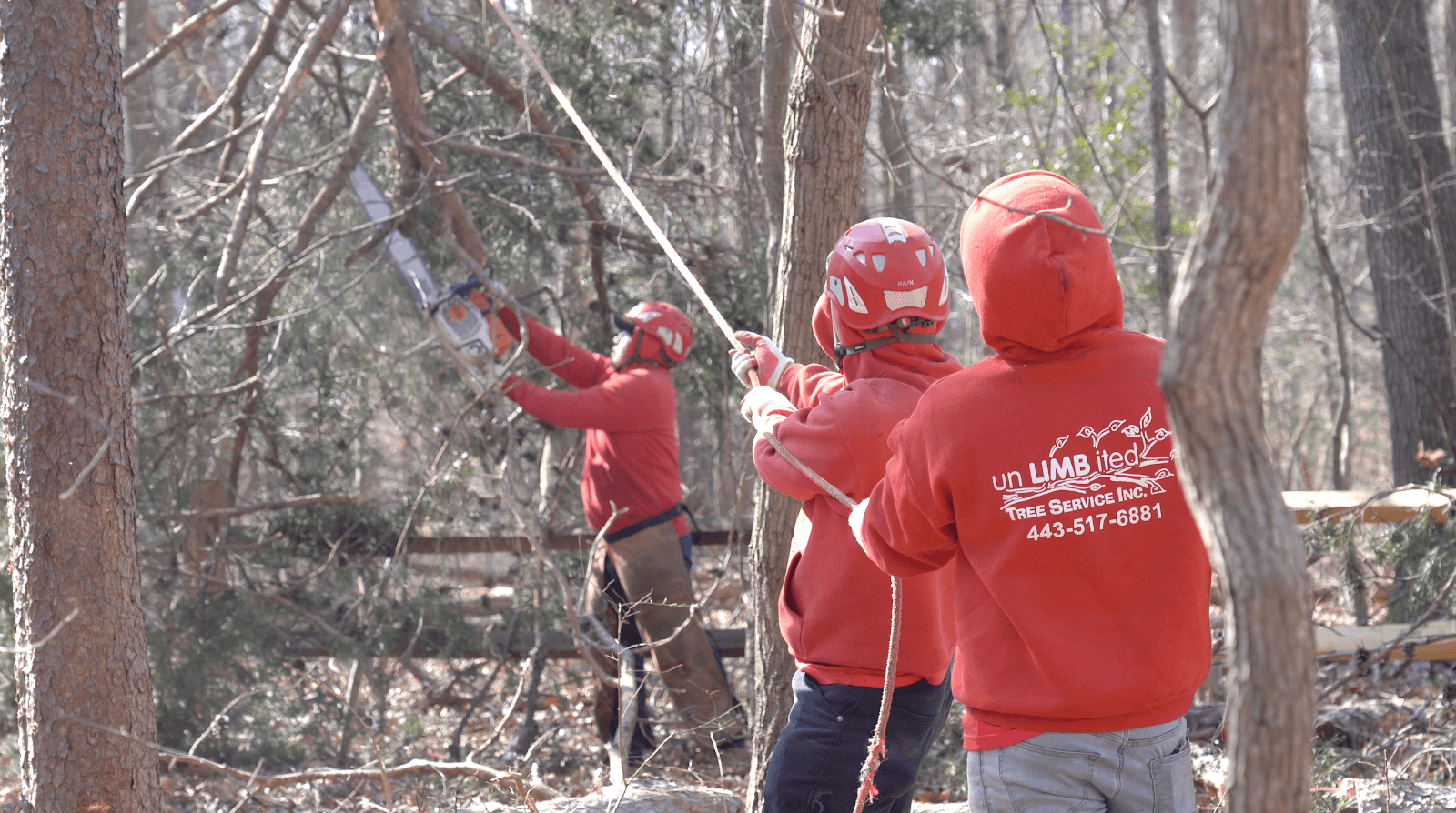 Unlimbited Tree Service, Inc.