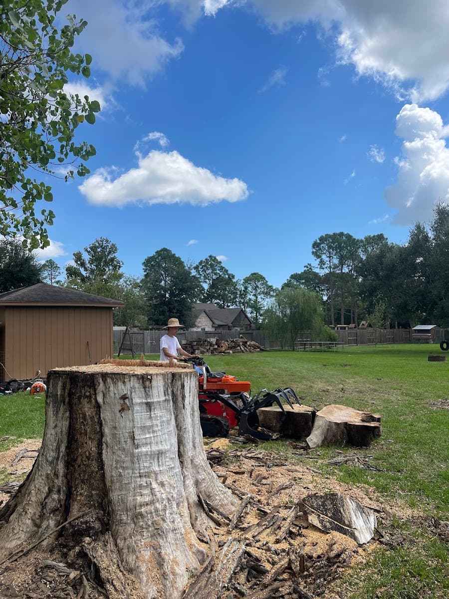 All Time Trees and Lawn care