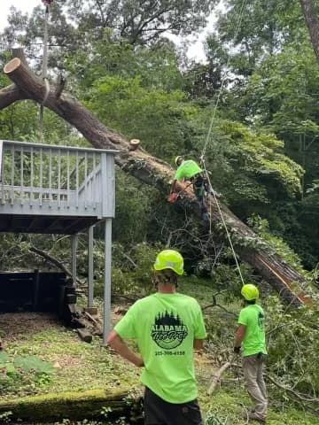 Alabama Tree Pros