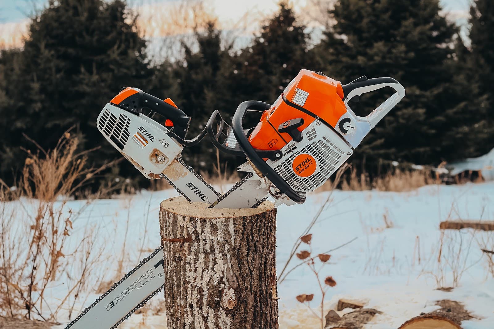 Big Bark Tree Taming