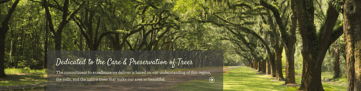 Cambium Tree Care & Preservation, Inc.