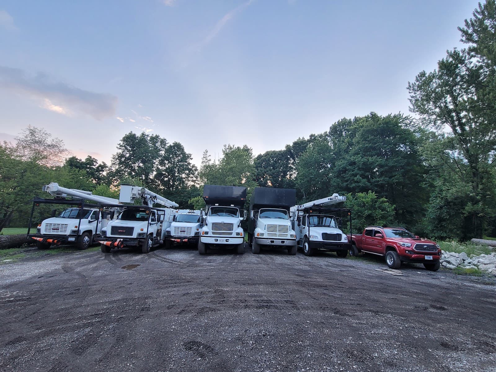 Columbus Tree Services