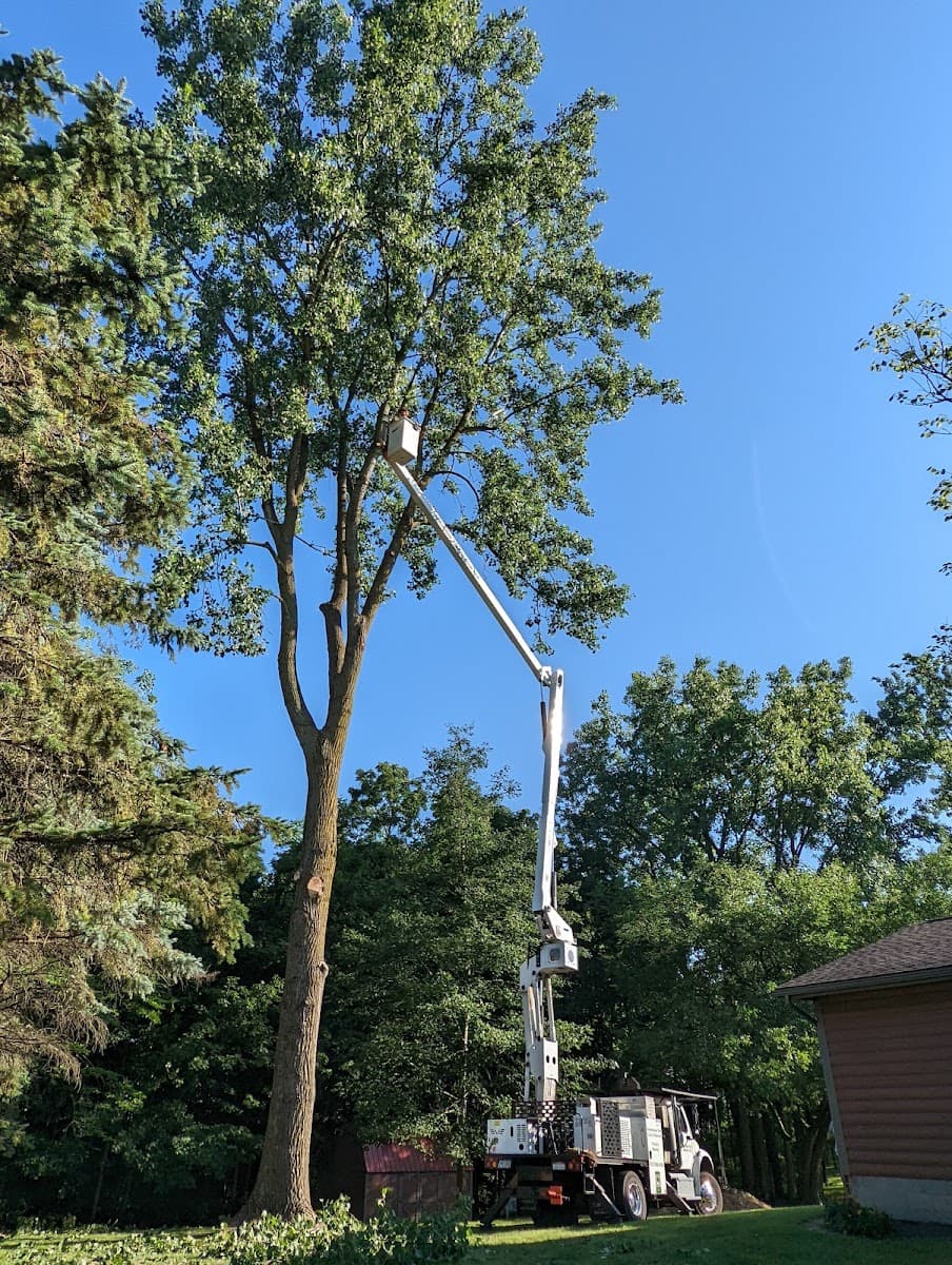 Bur Oak Tree Service LLC