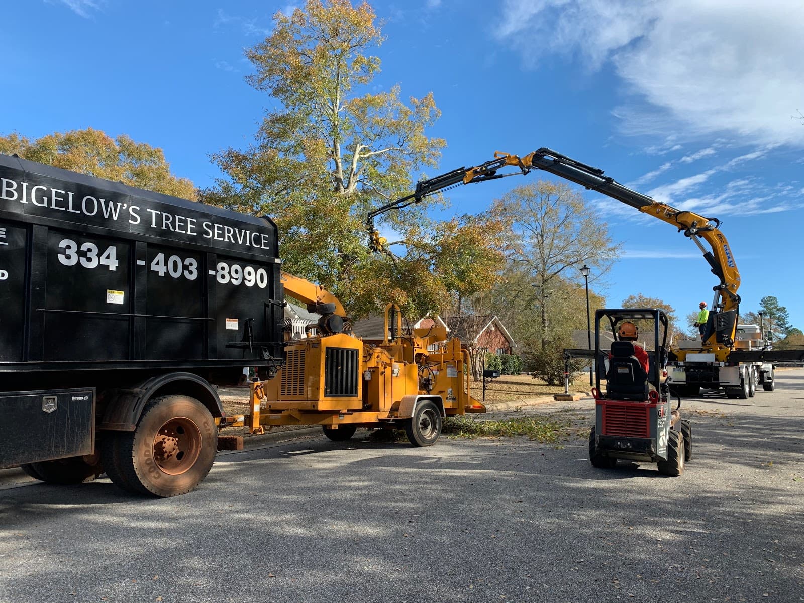 Bigelow's Tree Service and Stump Grinding