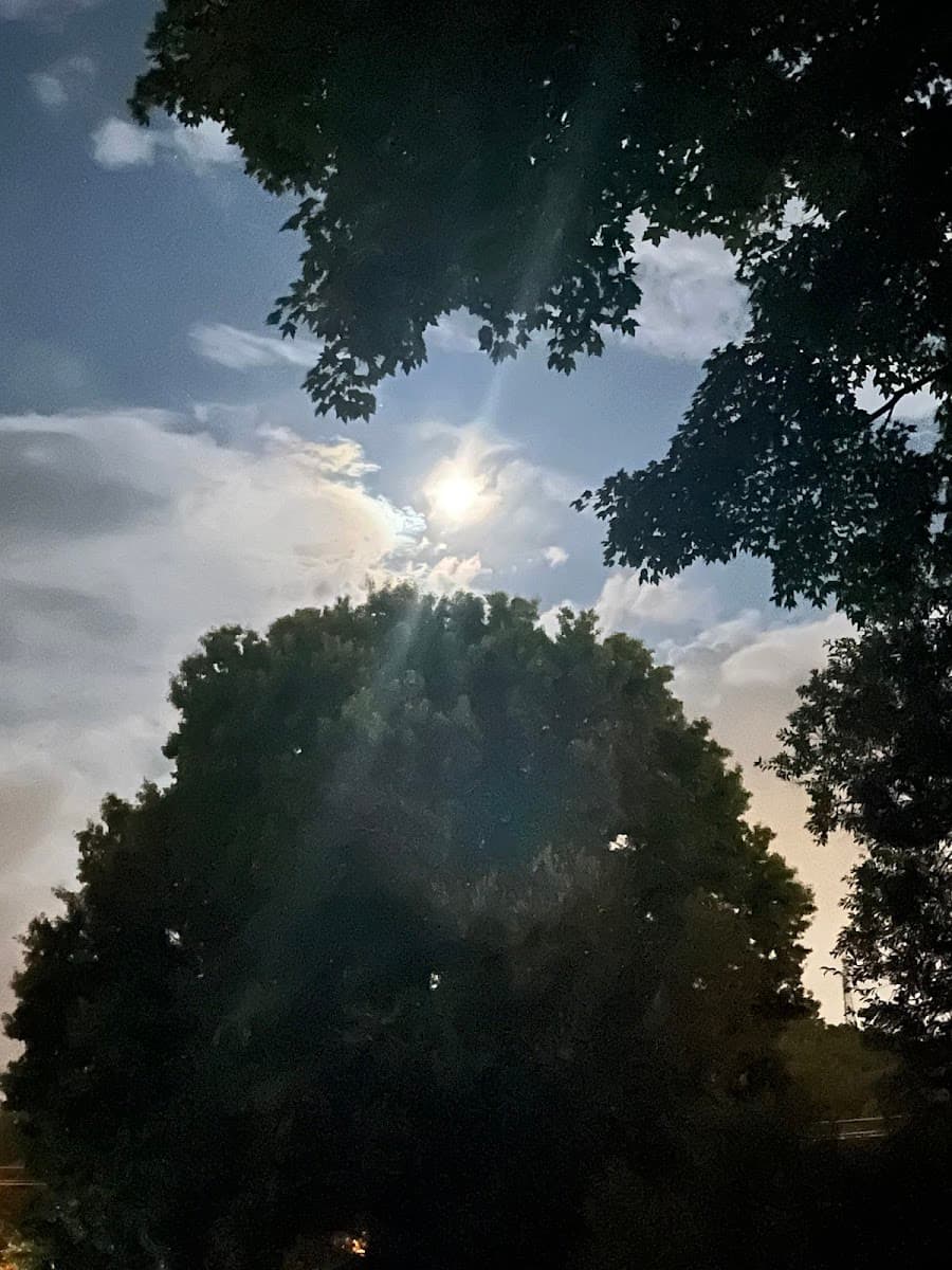 TriCities Tree & Landscaping Company