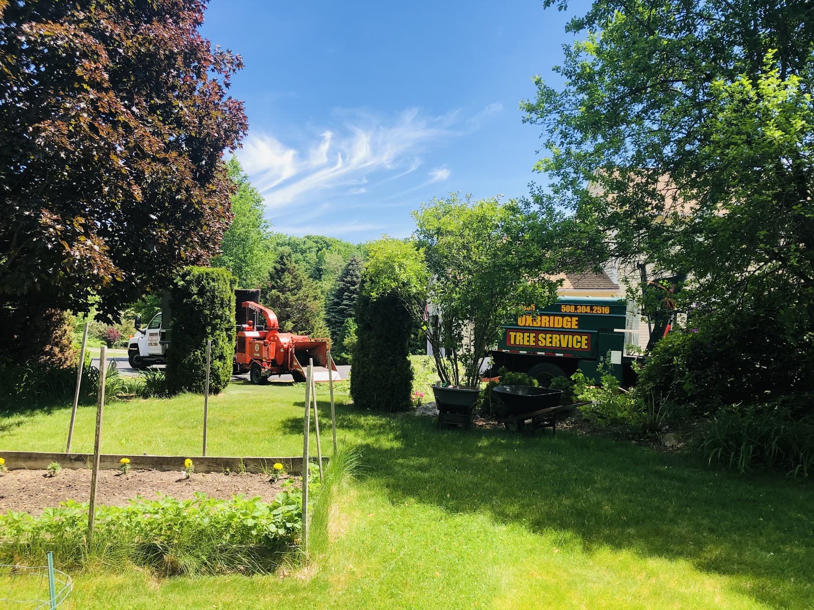 Uxbridge Tree Service