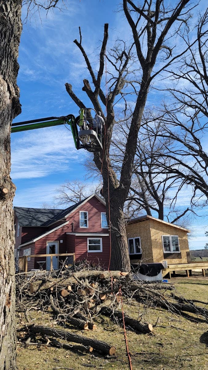 American Family Tree Service LLC