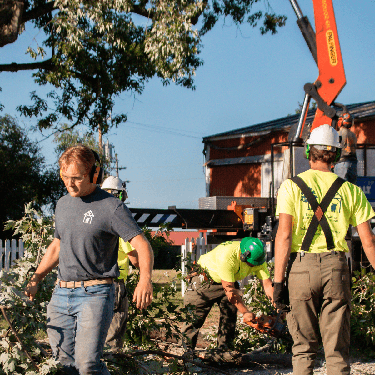 Highland Tree Services