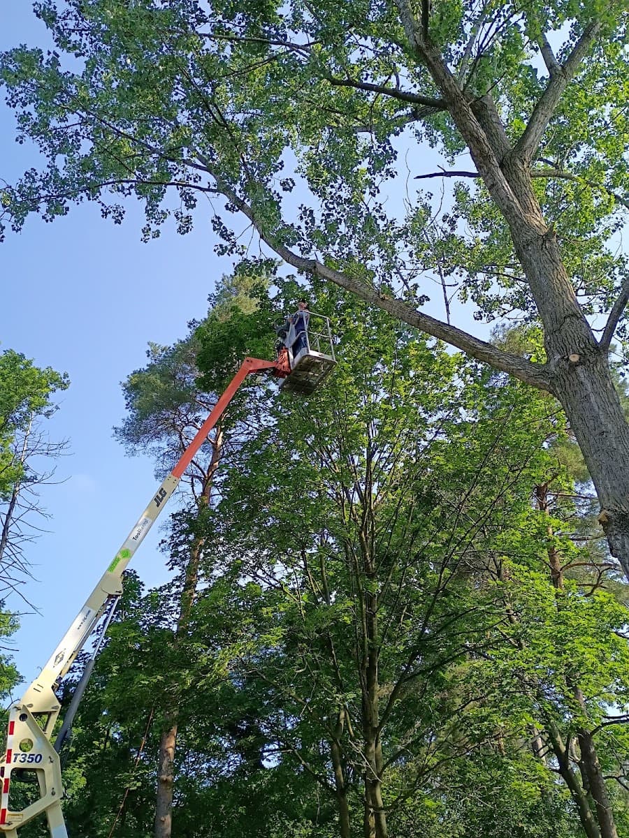 G-Man Tree Service LLC