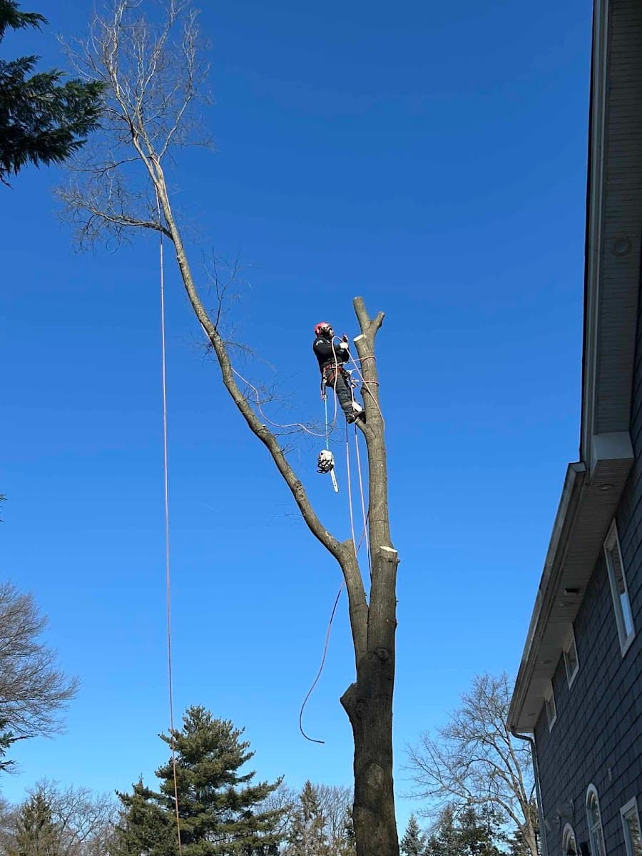 Storm's Fair Tree Service