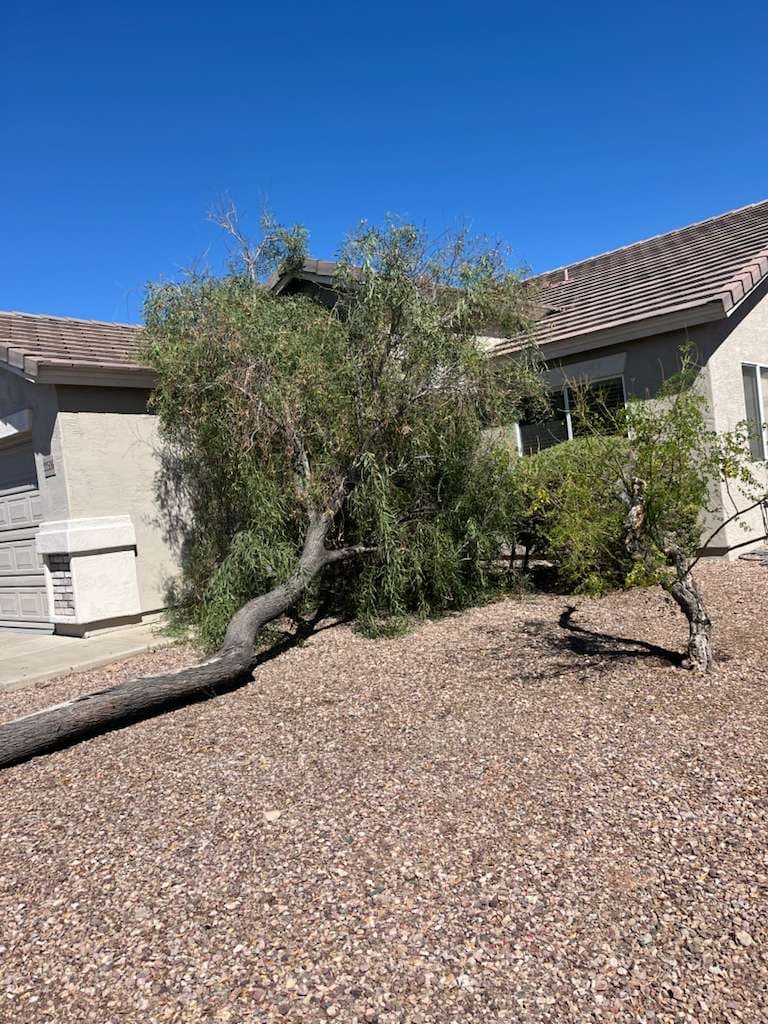 Tree Service Valle Del Sol Llc