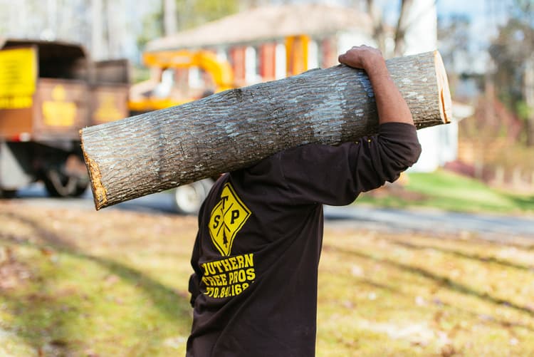 Southern Tree Pros