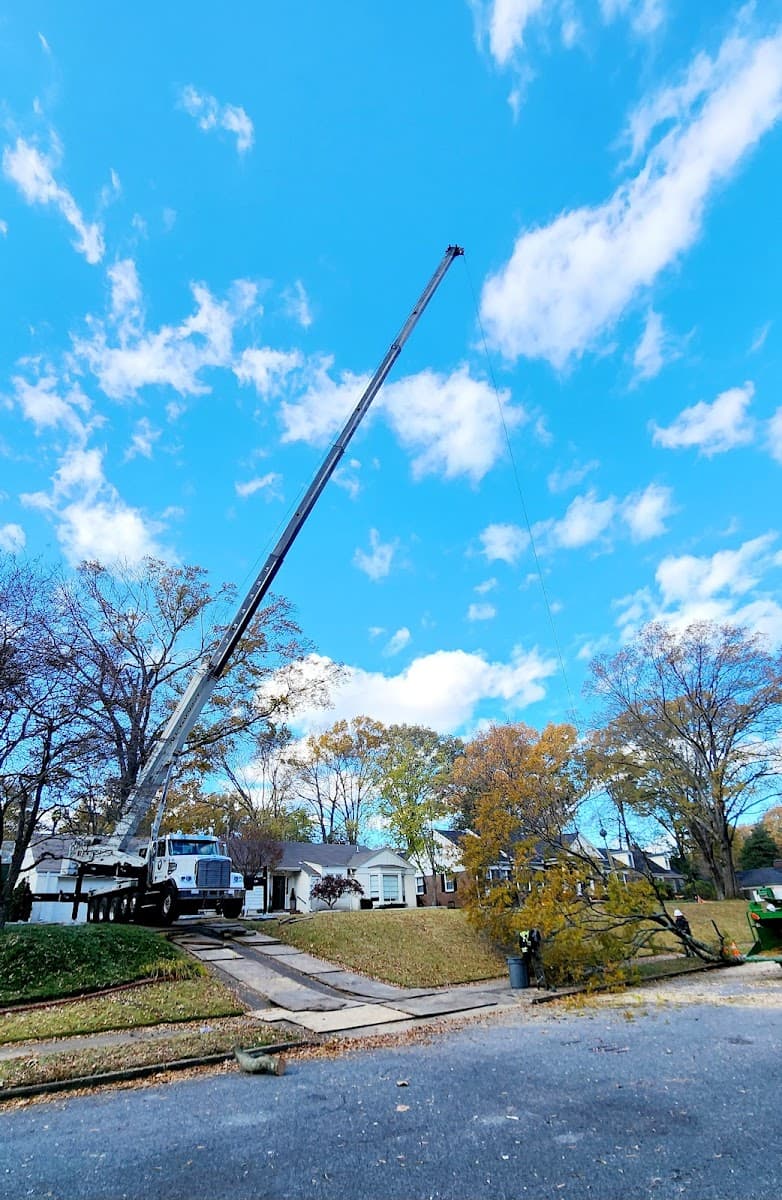 T & J Tree Experts Llc