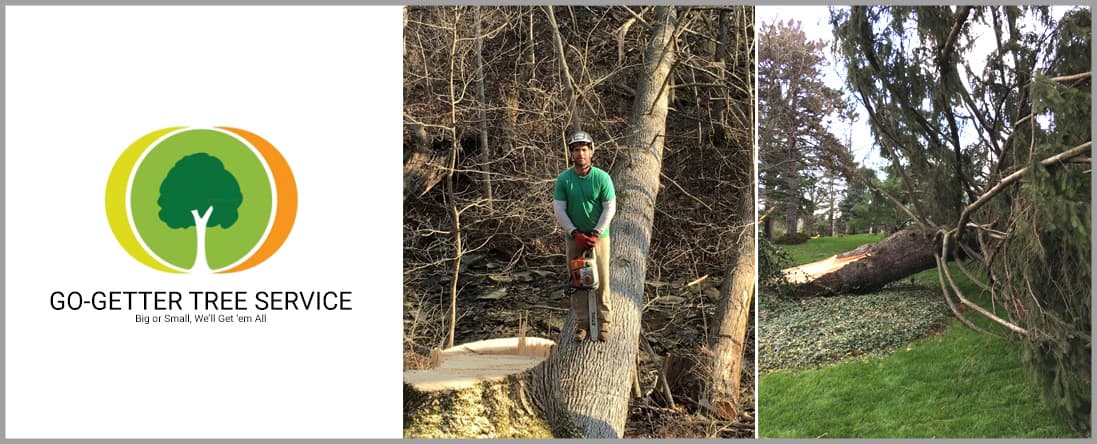 Go-Getter Tree Service