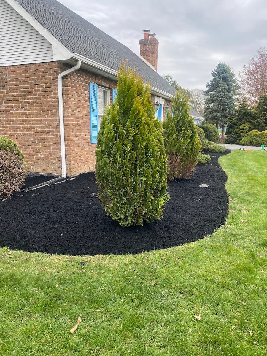 MJ’s Tree Service LLC