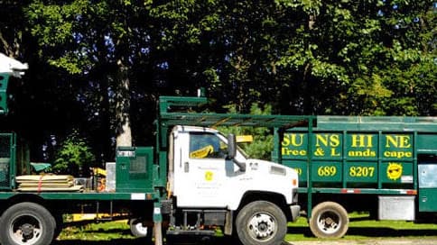 Sunshine Tree & Landscape