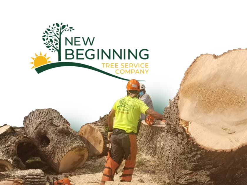 New Beginning Tree Service Company