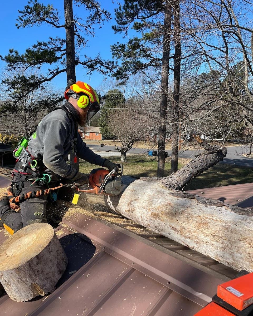 Thrive Tree Service Louisville