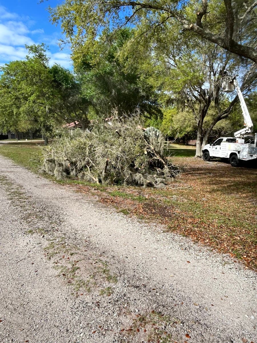 Ultimate Tree Service LLC