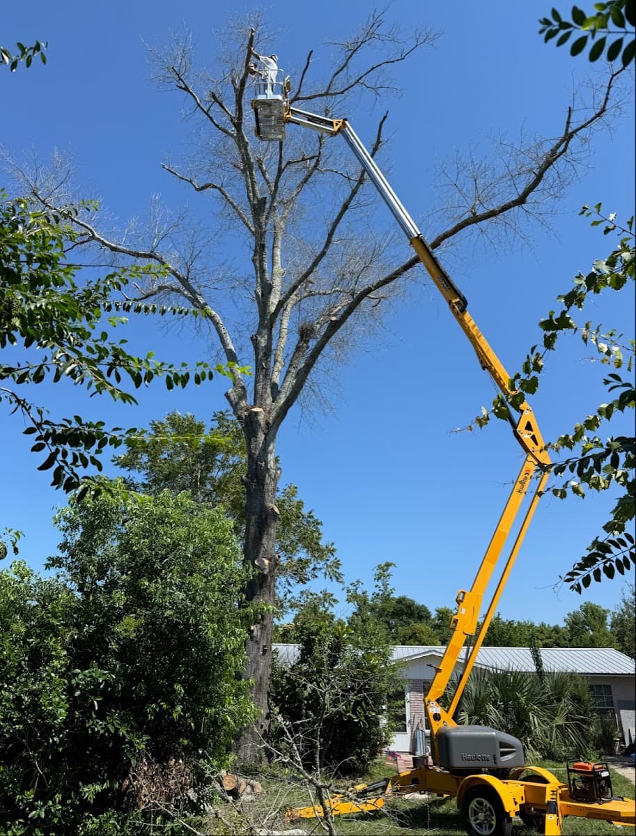 Noah’s Lawn Care & Tree Service