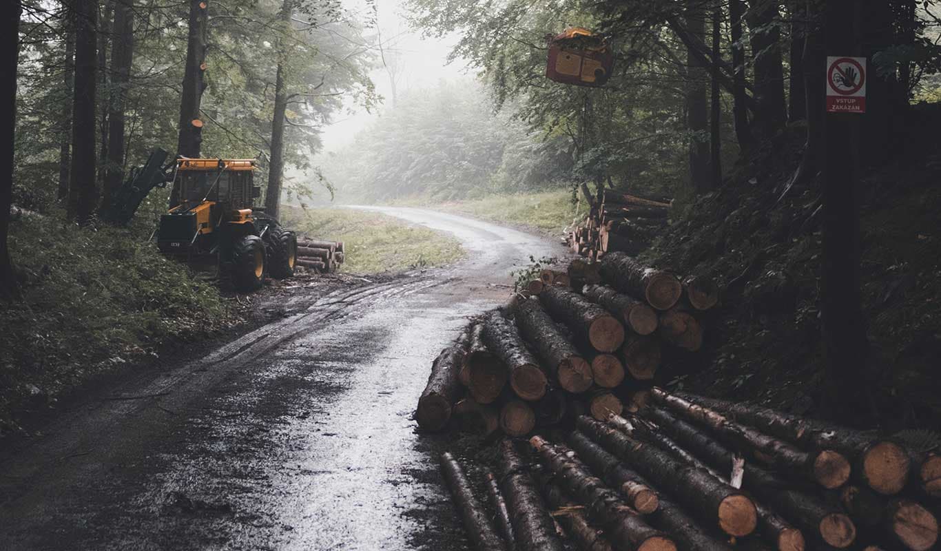 Santiam Tree Service