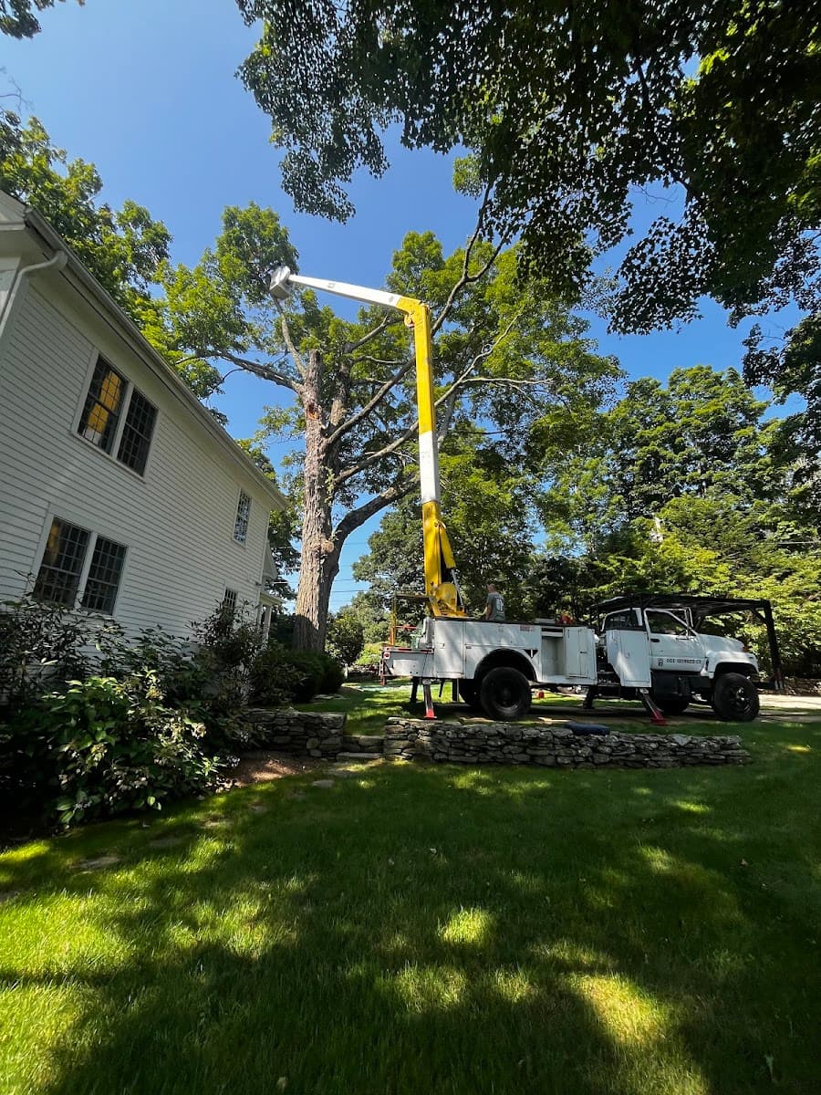 Germain Tree & Property Maintenance