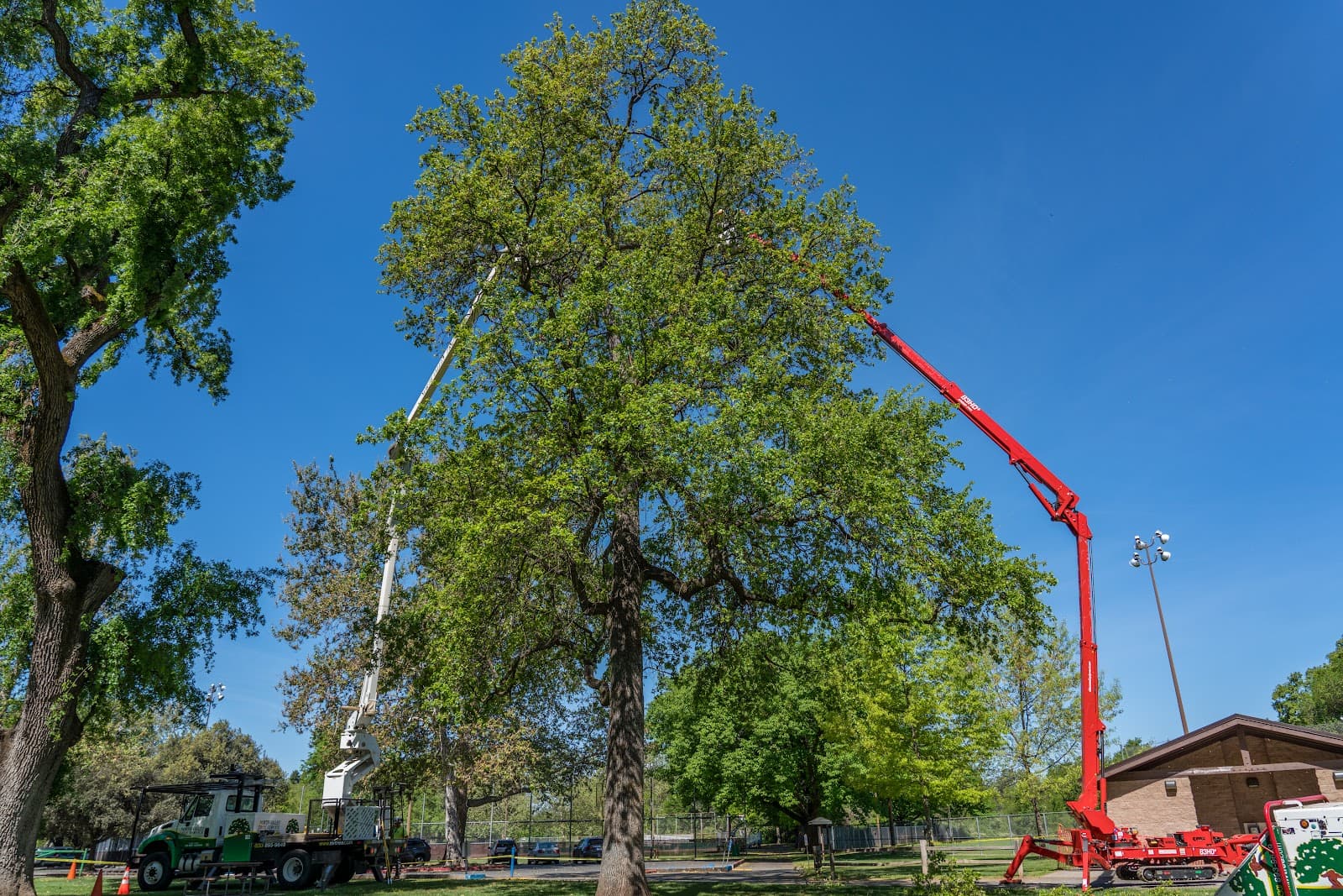 North Valley Tree Service