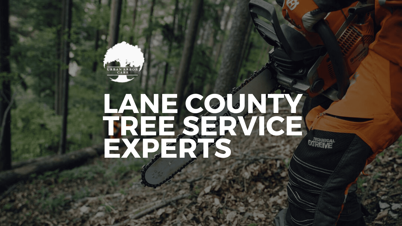 Urban Arbor Care, LLC | Tree Removal & Arborists