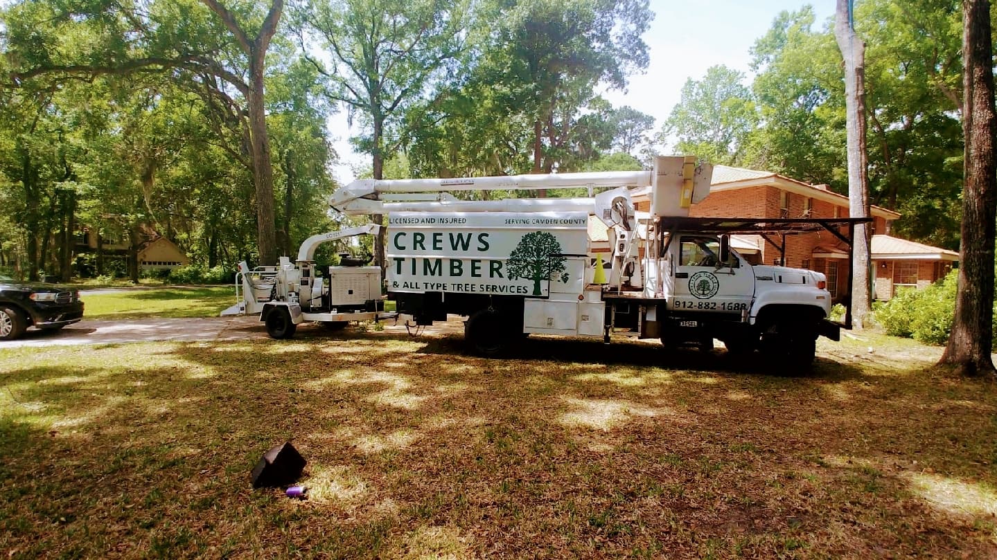 Crews Timber and All Type Tree Service Inc