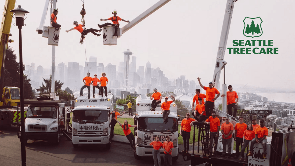 Seattle Tree Care