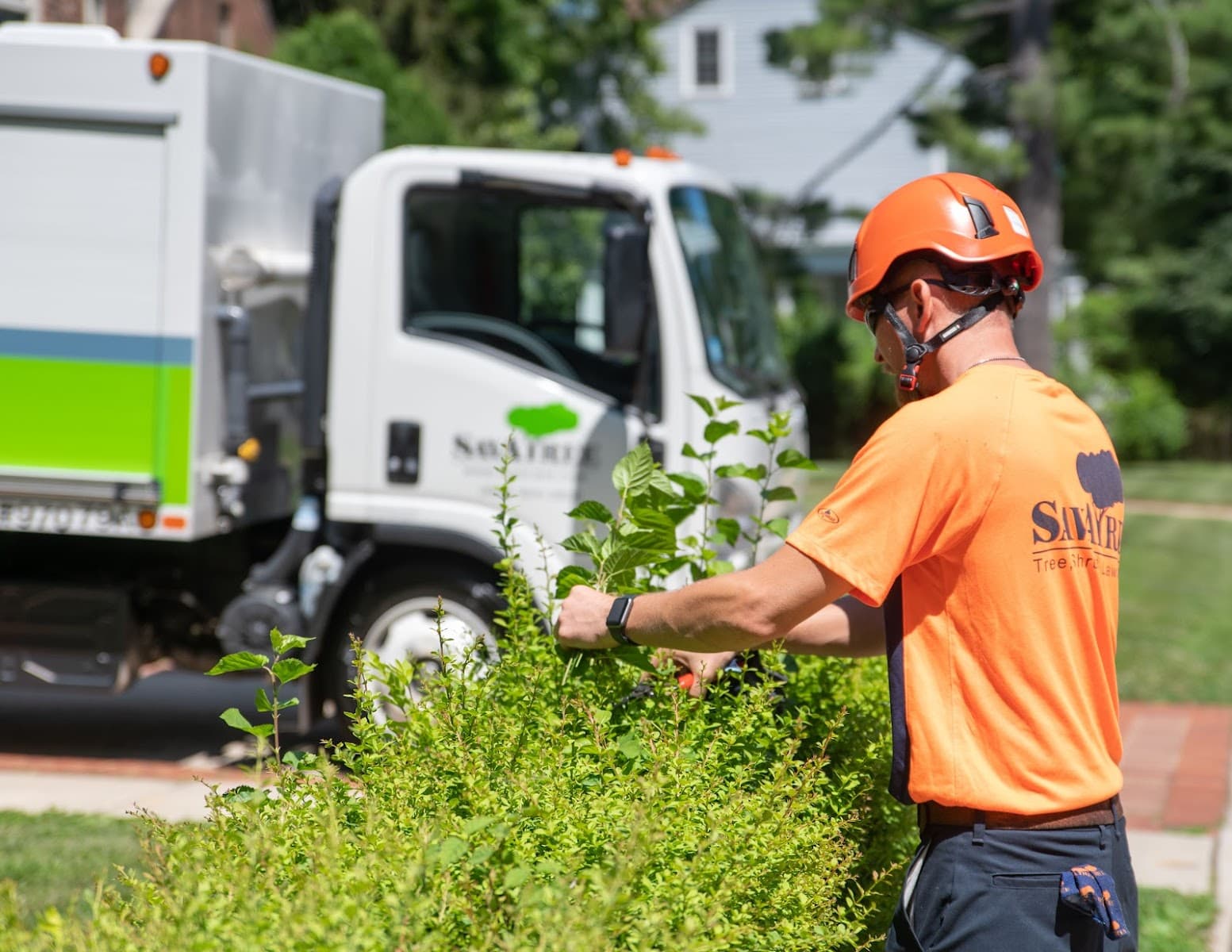 SavATree - Tree Care Service