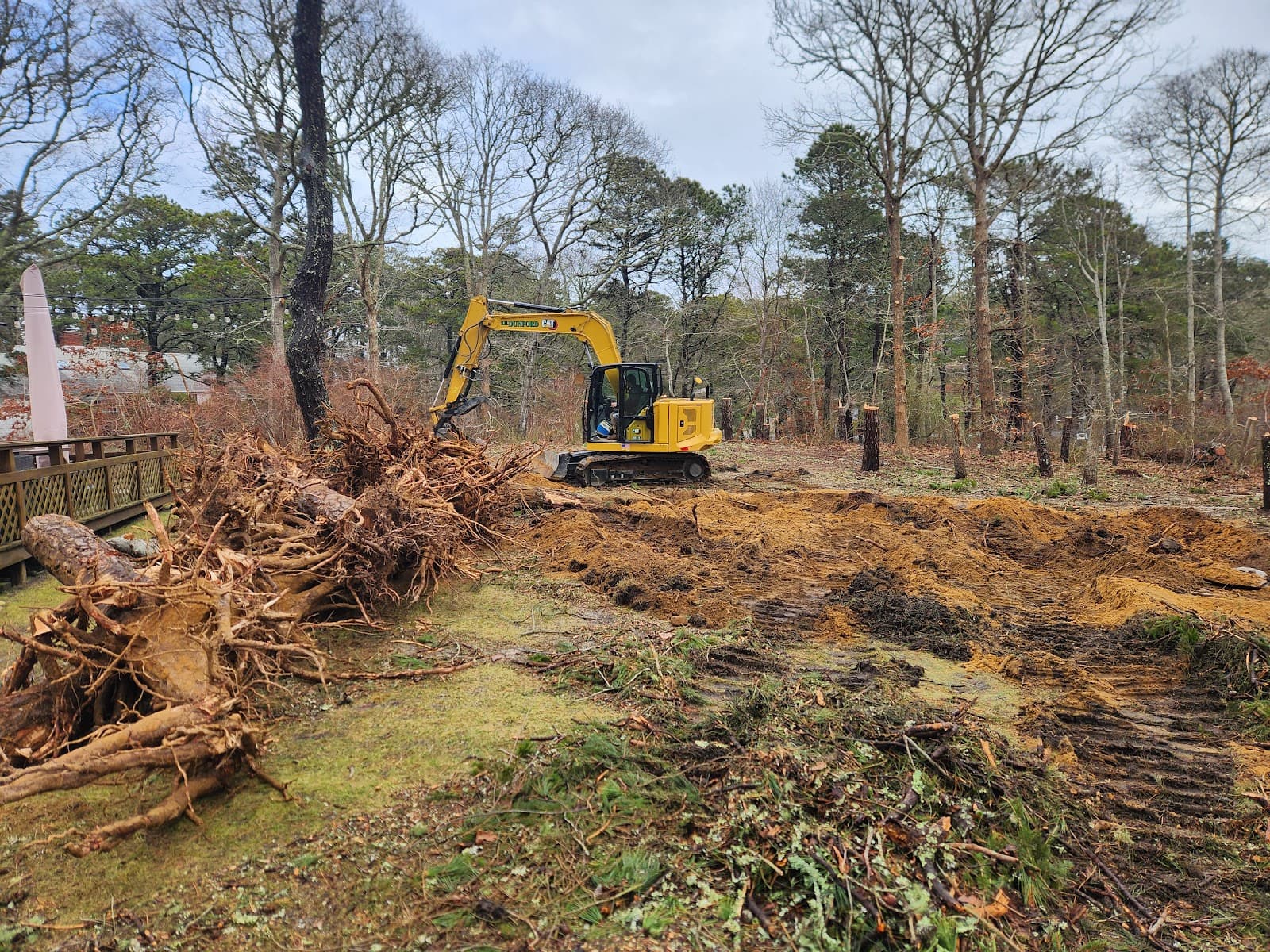 Mackenzie Tree Service