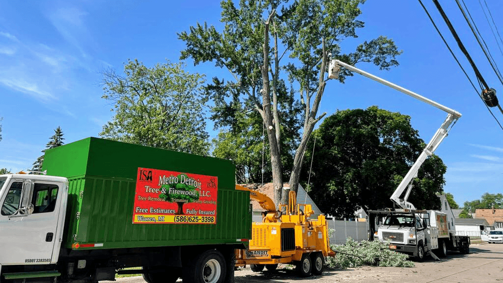 Metro Detroit Tree & Firewood