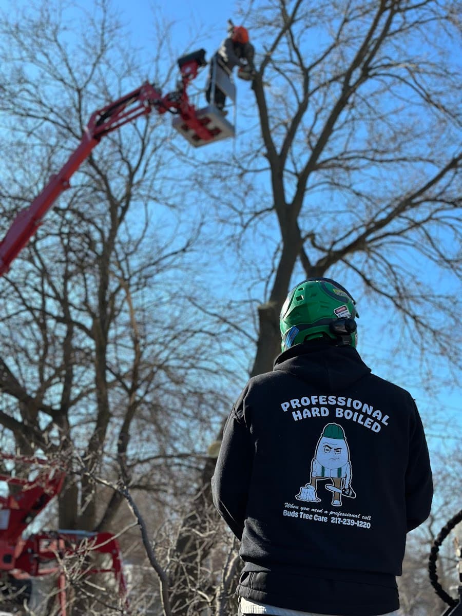 Bud's Tree Care