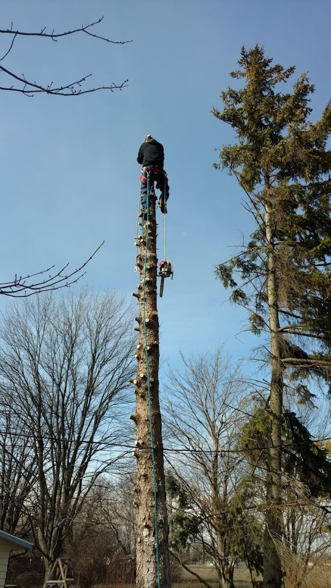 Northern tree service & Snow Plowing LLC