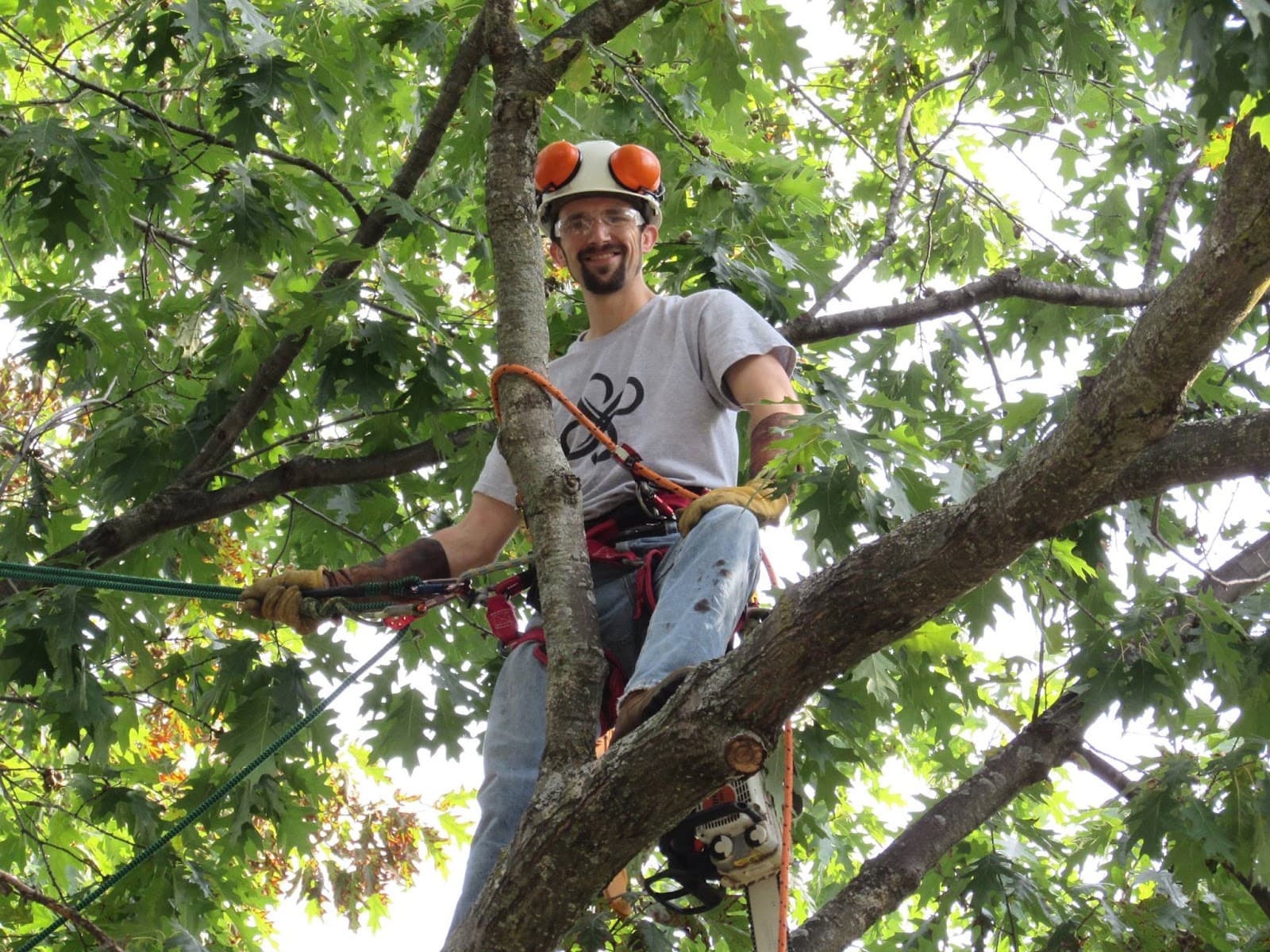Arbor Works Tree Care