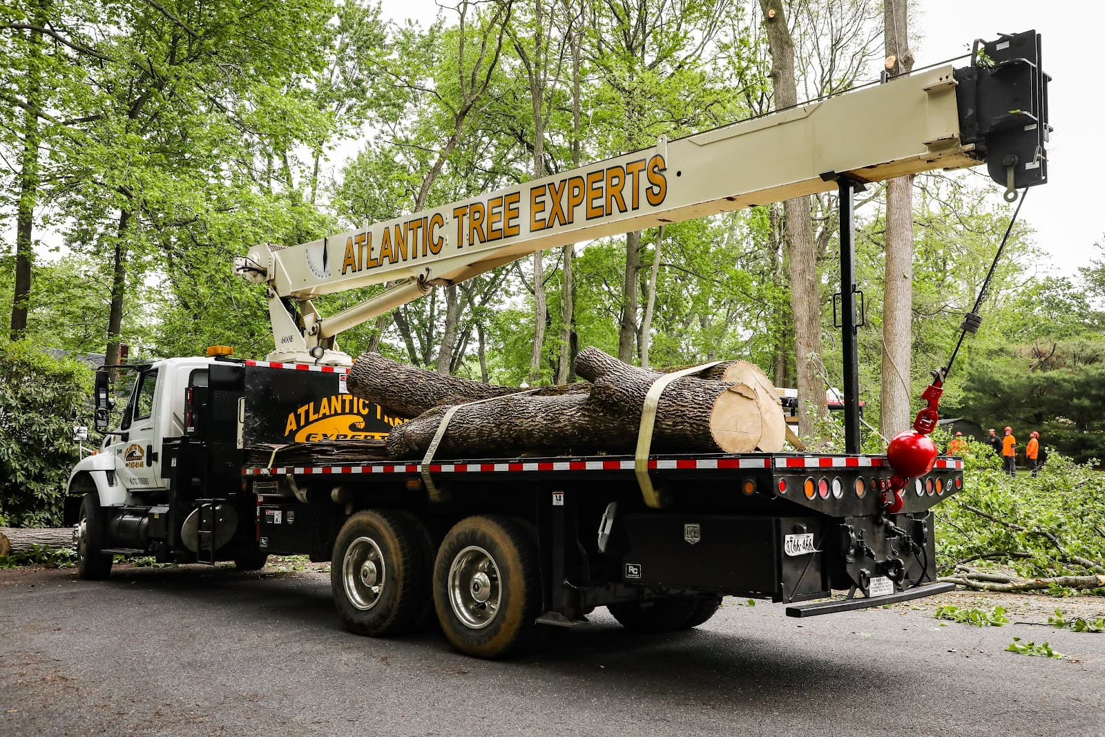 Atlantic Tree Experts