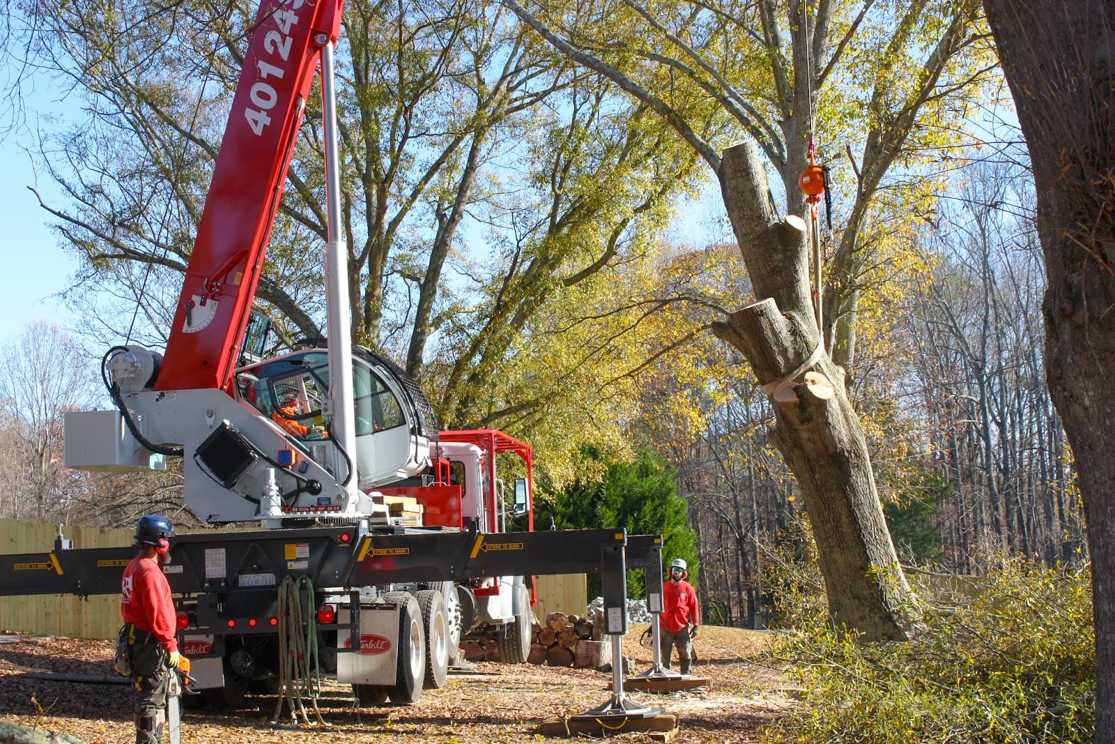 R & R Tree Service