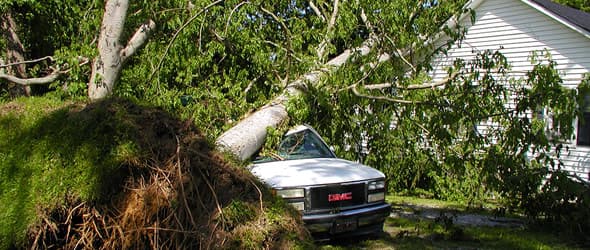 Family's Tree Service Inc.
