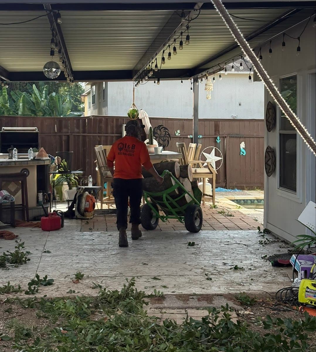 I&B Professional Tree Service