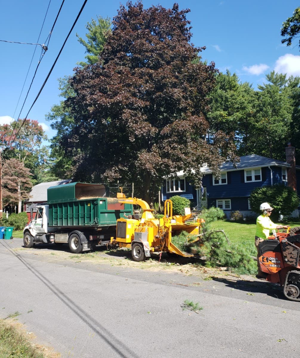 McDonald Tree Service
