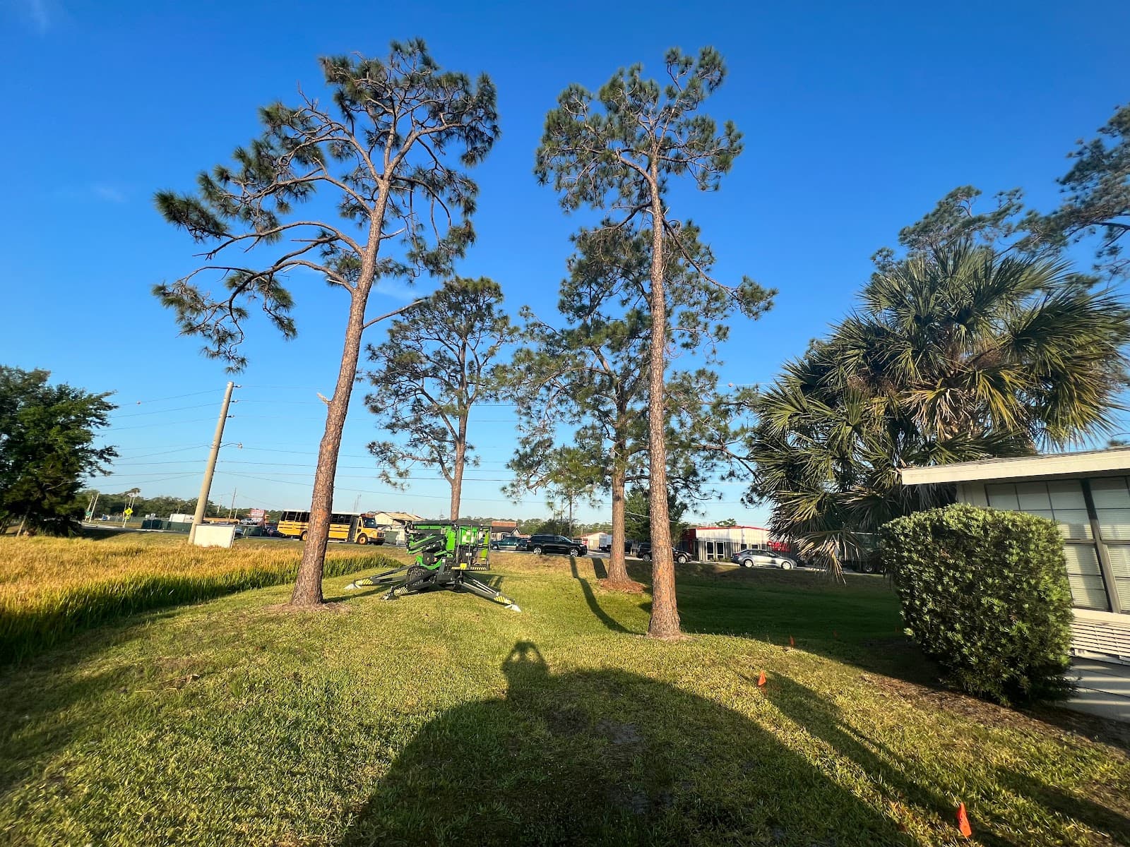 Monkey Business Tree Care Specialist - Davenport