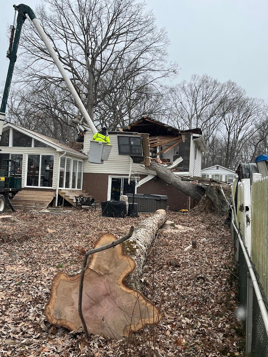 Miller's Tree Service