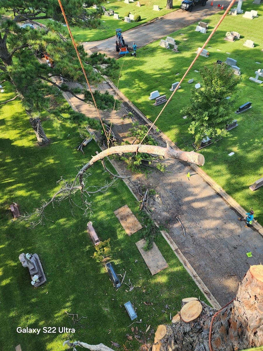 Castle's Tree Service LLC