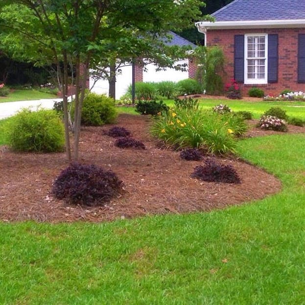 Southern Eco Scapes - Gray, GA Landscaping and Lawn Maintenance
